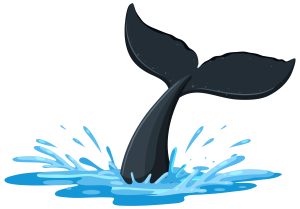 A tail of humpback whale above the water illustration
